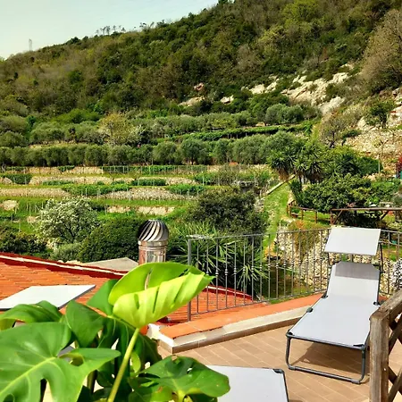 Hostdomus - Le Vigne Sul Mare *